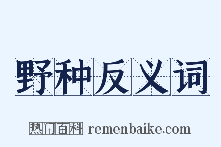 野种反义词是什么意思的图片